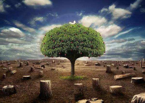 第三方環(huán)境檢測機構 第三方環(huán)境檢測機構