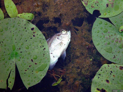 深圳水質(zhì)檢測(cè)機(jī)構(gòu) 深圳水質(zhì)檢測(cè)機(jī)構(gòu)