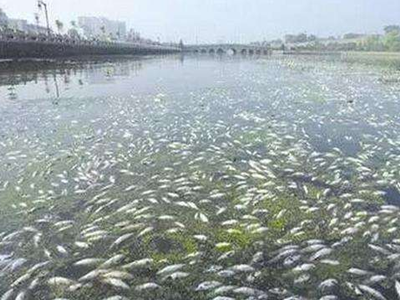 深圳水質(zhì)檢測(cè) 深圳水質(zhì)檢測(cè)