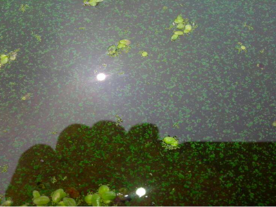 深圳水質(zhì)檢測(cè)機(jī)構(gòu) 深圳水質(zhì)檢測(cè)機(jī)構(gòu)