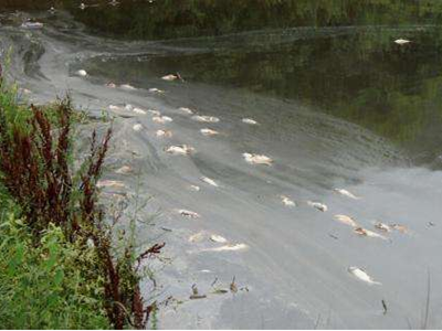 深圳水質(zhì)檢測機(jī)構(gòu)